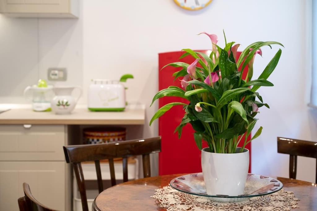 Casa Bouganville - St. Peter Romantic Apartment *